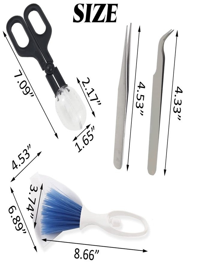 NSBELL Reptile Scooper Feeding Tool, Mini Dustpan and Brush, Straight and Curved Stainless Steel Tweezers for Reptile, Hedgehog, Hamsters, Guinea Pig, Rat, Lizard and Other Small Animals Supplies - Image 2